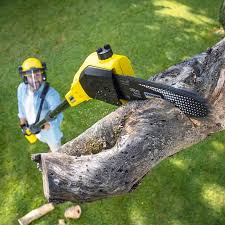 Best Weed Control  in Brookville, IN
