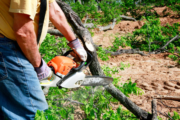 Best Lawn Grading and Leveling  in Brookville, IN